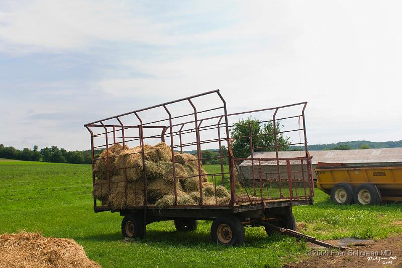 20080718_114023 D300 P 4200x2800.jpg - Gathering hay